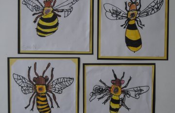 drawings of bees in various sizes