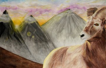 drawing of a mountain goat with mountains in the backgroun