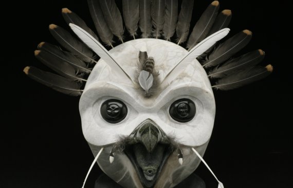 Ornate grouse head with an arc of feathers