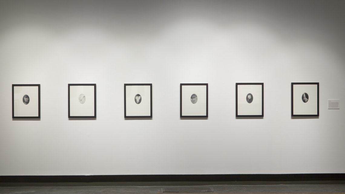 Six photographic works of hands on a white wall