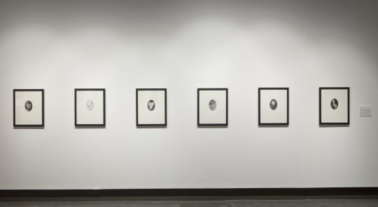 Six photographic works of hands on a white wall