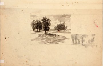 drawing of a few small trees on top of a hill