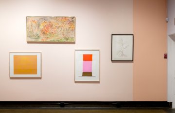 a pastel pink wall with pictures hung on it