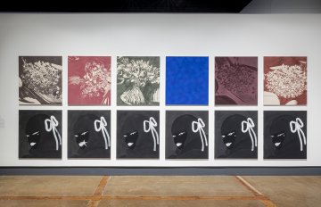 Twelve abstract paintings in two rows of six.