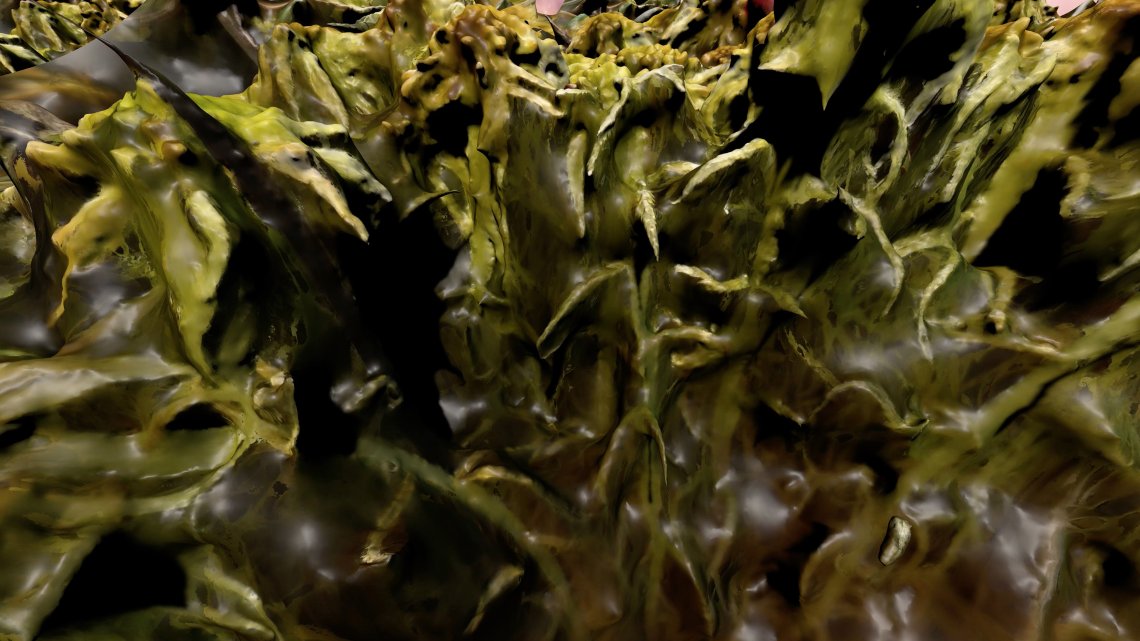 Abstract green, plant-like mossy textures